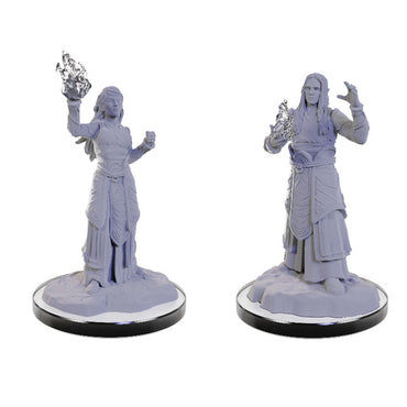 Unpainted D&D Miniature: Elf Wizards