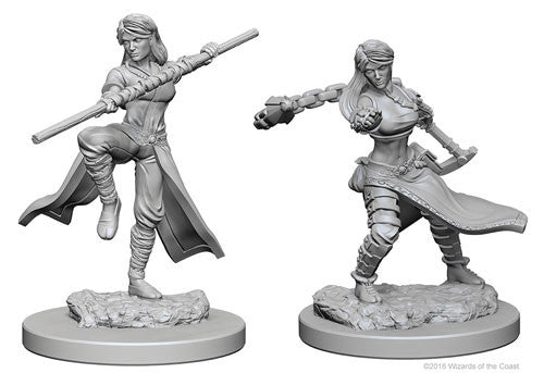 Unpainted D&D Miniature: Human Monk